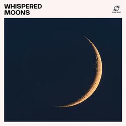 Sleep Therapy Tunes