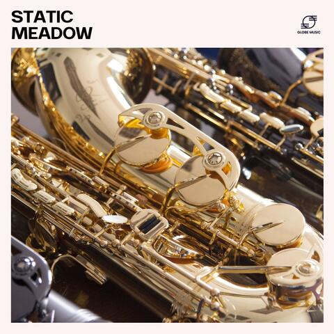 Static Meadow