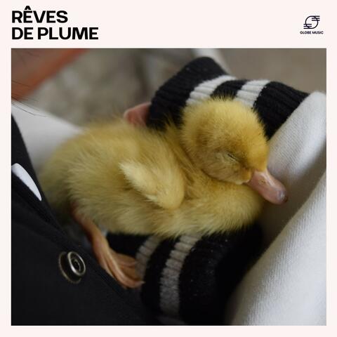 Rêves de Plume