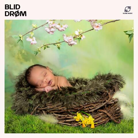Blid Drøm
