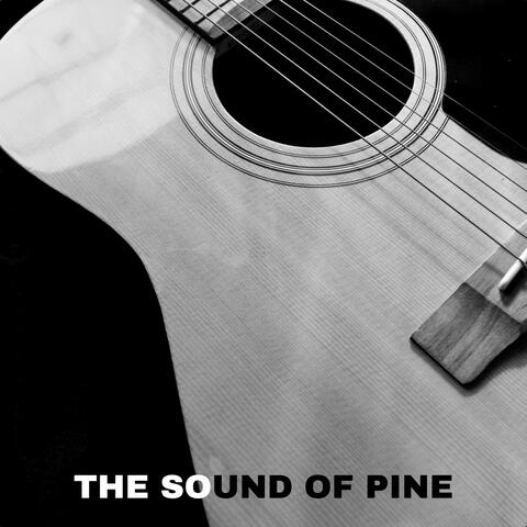 The Sound of Pine