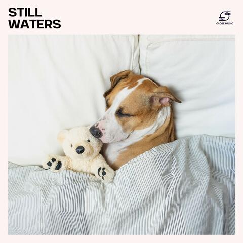 Still Waters