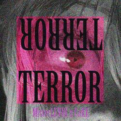 Terror