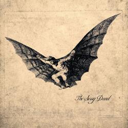 Last Time That You Fall