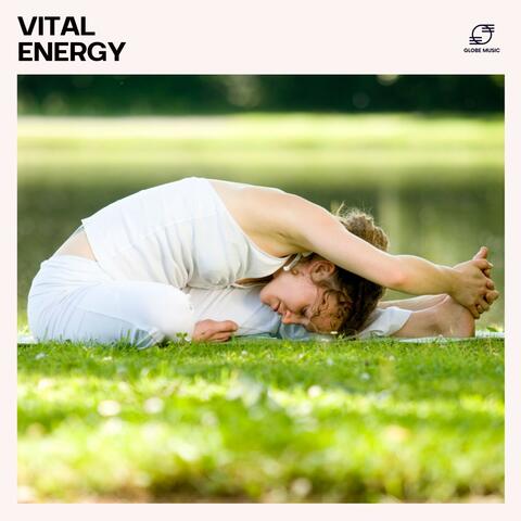 Vital Energy