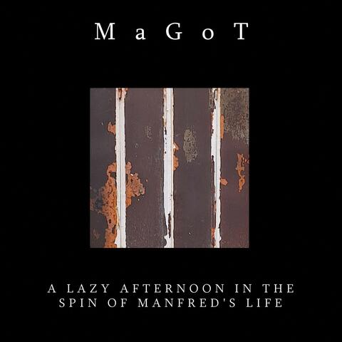 A Lazy Afternoon in the Spin of Manfred's Life
