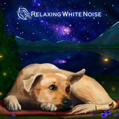 White Noise for Dogs, Helps Calm Anxiety, Barking, and Stress (Loop, No Fade)