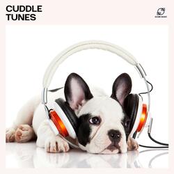 Calming Frequencies for Pets