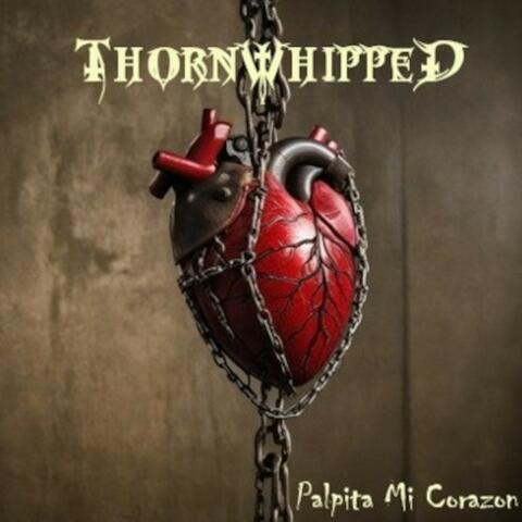 Palpita Mi Corazon
