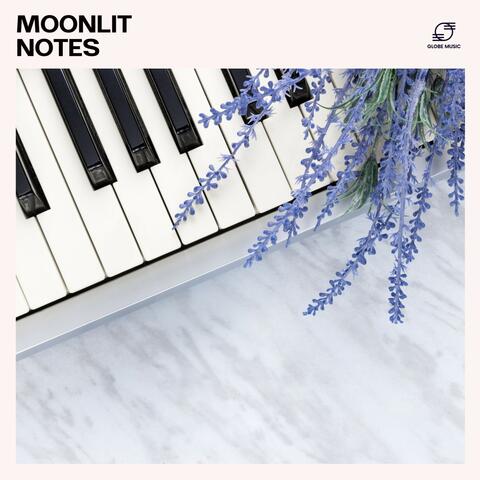 Moonlit Notes: Calm Piano Instrumentals