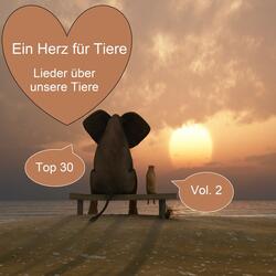 Ich ging heute früh durch den grünen Wald