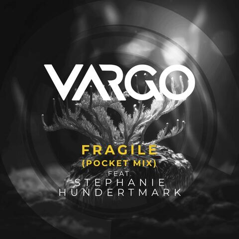 Fragile