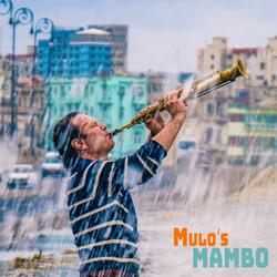 Mulo's Mambo
