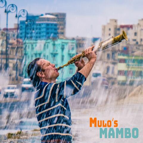 Mulo's Mambo