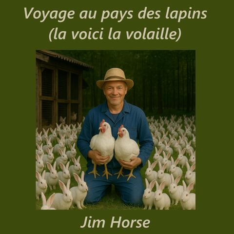 Voyage au pays des lapins (La voici la volaille)