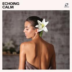 Spa Ambient Massage Playlist
