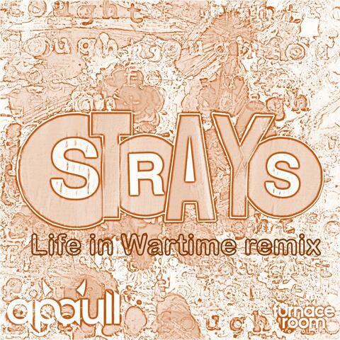 Strays