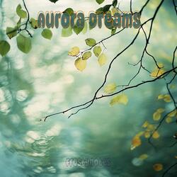 Aurora Dreams