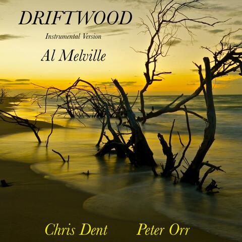 Driftwood