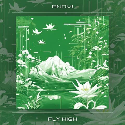 Fly High