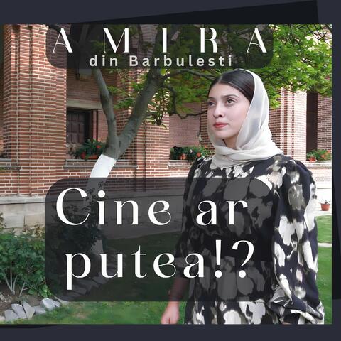 Cine ar putea!?
