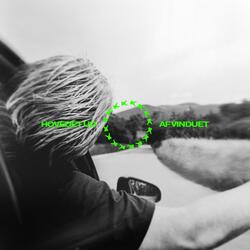 Hovedet Ud Af Vinduet