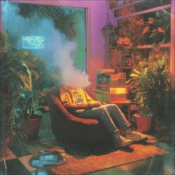 Plastic Garden