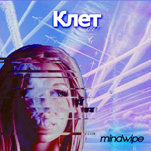 Mindwipe