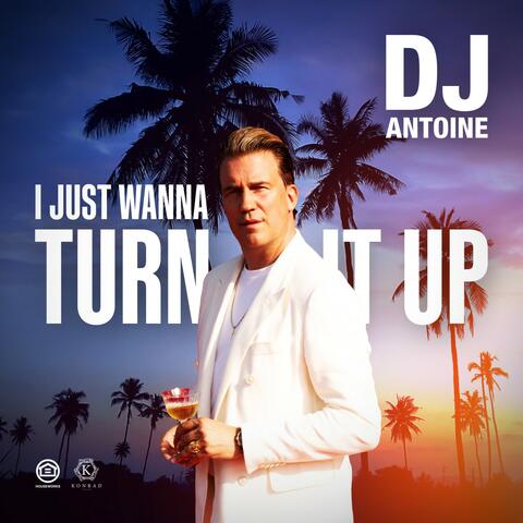 I Just Wanna Turn It Up