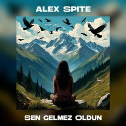 Sen Gelmez Oldun