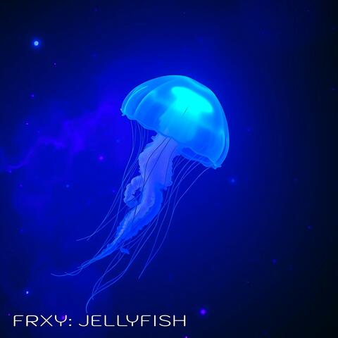 Jellyfish