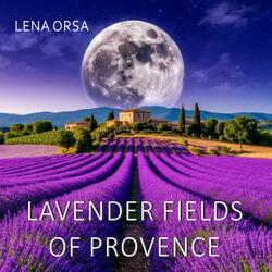 Lavender Fields of Provence