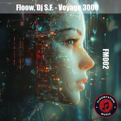 Voyage 3000