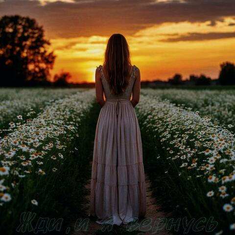 Жди и я вернусь