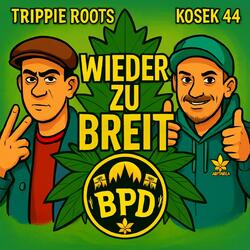 Wieder zu breit