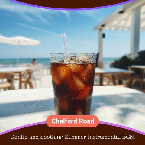 Gentle and Soothing Summer Instrumental Bgm
