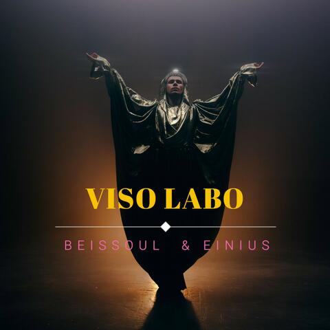 Viso Labo