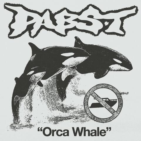 Orca Whale