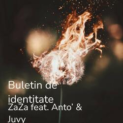 Buletin De Identitate