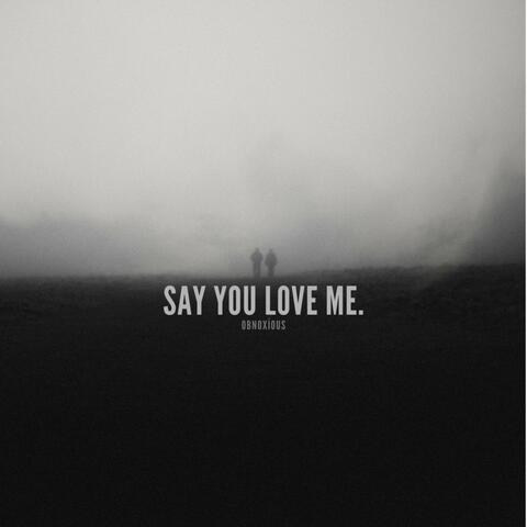 Say You Love Me.