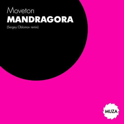 Mandragora