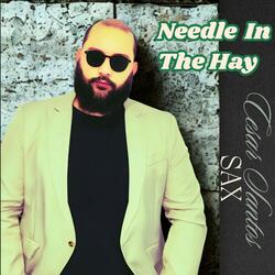 Needle in the Hay