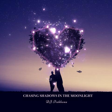 Chasing Shadows in the Moonlight