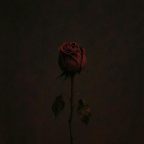 The Withered Rose