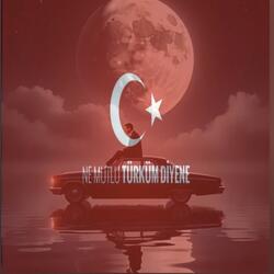 Ne Mutlu Turkum Diyene