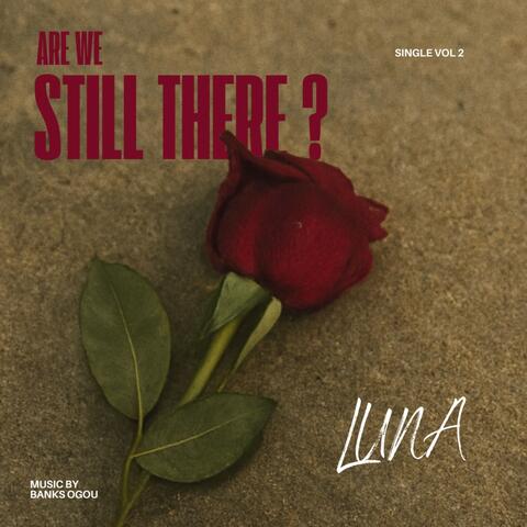 Are We Still There?