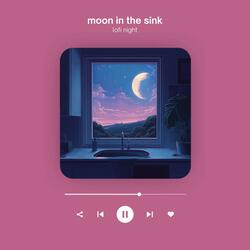 Moon in the Sink