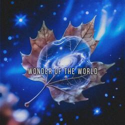 Wonder of the World
