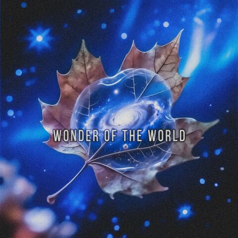Wonder of the World