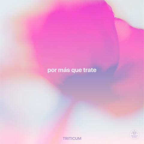 Por Más Que Trate